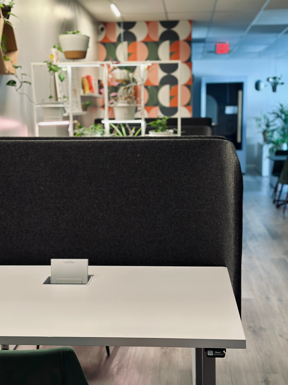 Modern coworking space with patterned walls, plants on white shelves, a gray privacy partition, and a white sit-stand desk. Calm and inviting mood.