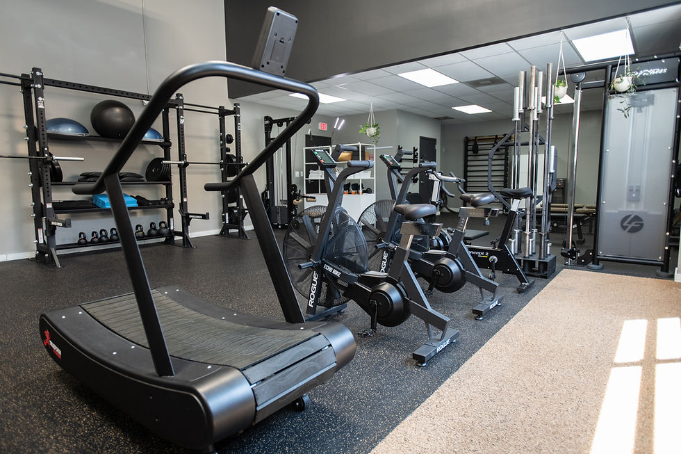 Modern gym with curved treadmill, Rogue Echo bikes, weights, and cable machine in a bright empty fitness studio.
