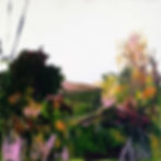 Hawthorn and Hillside