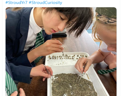 The Owl Box Initiative: Connecting young people with nature