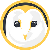 FACE ring (1).png