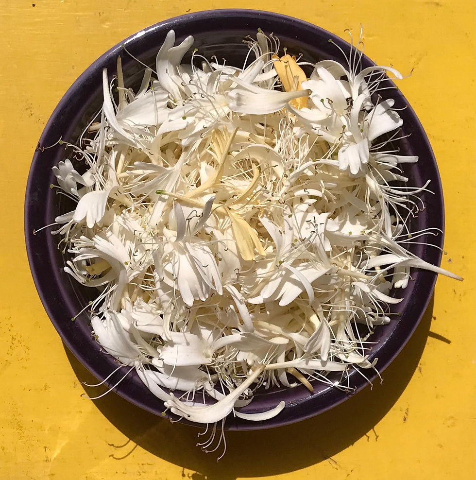 Thumbnail: Summer Sweetness Oxymel