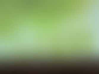 Growing your small business