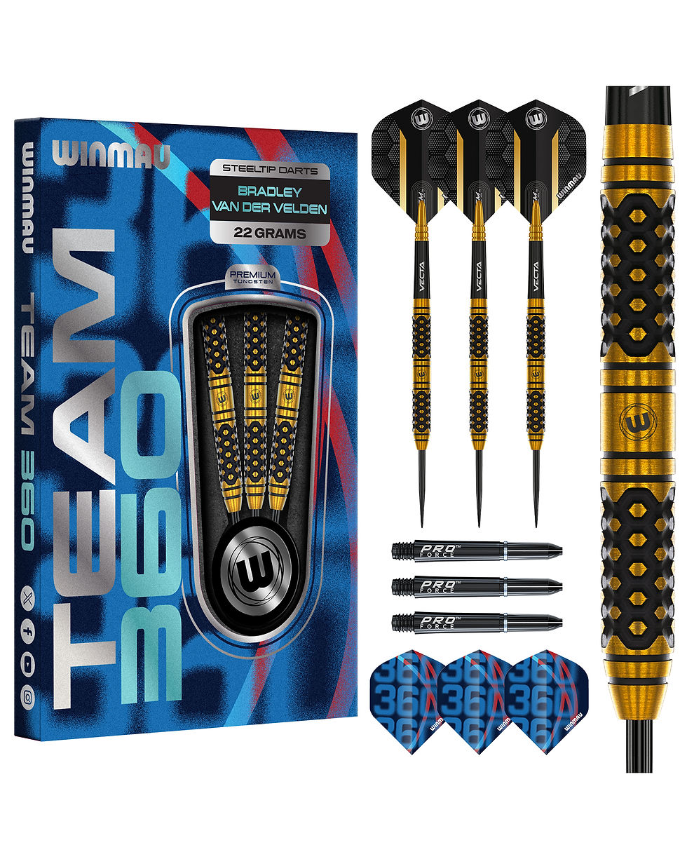 Bradley van der Velden Dart Set
