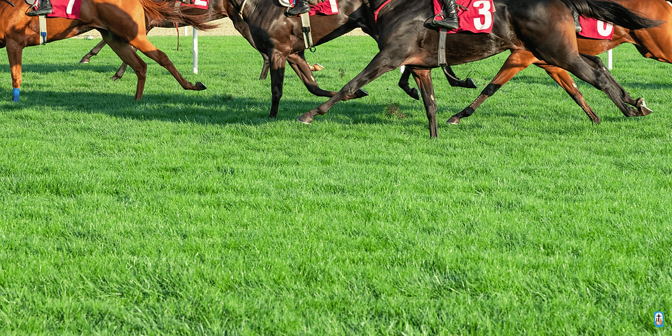 On a mission.... (2).png