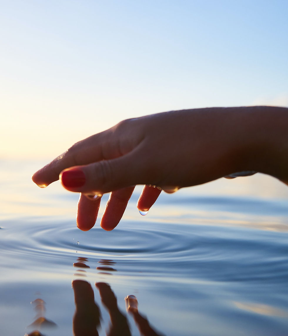 expresion de sentimientos