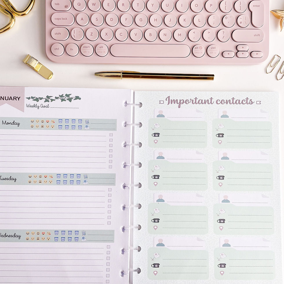 Thumbnail: 2025-discbound-planner