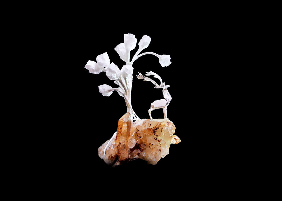Royaume, Fragments Rêvés - Jing WANG