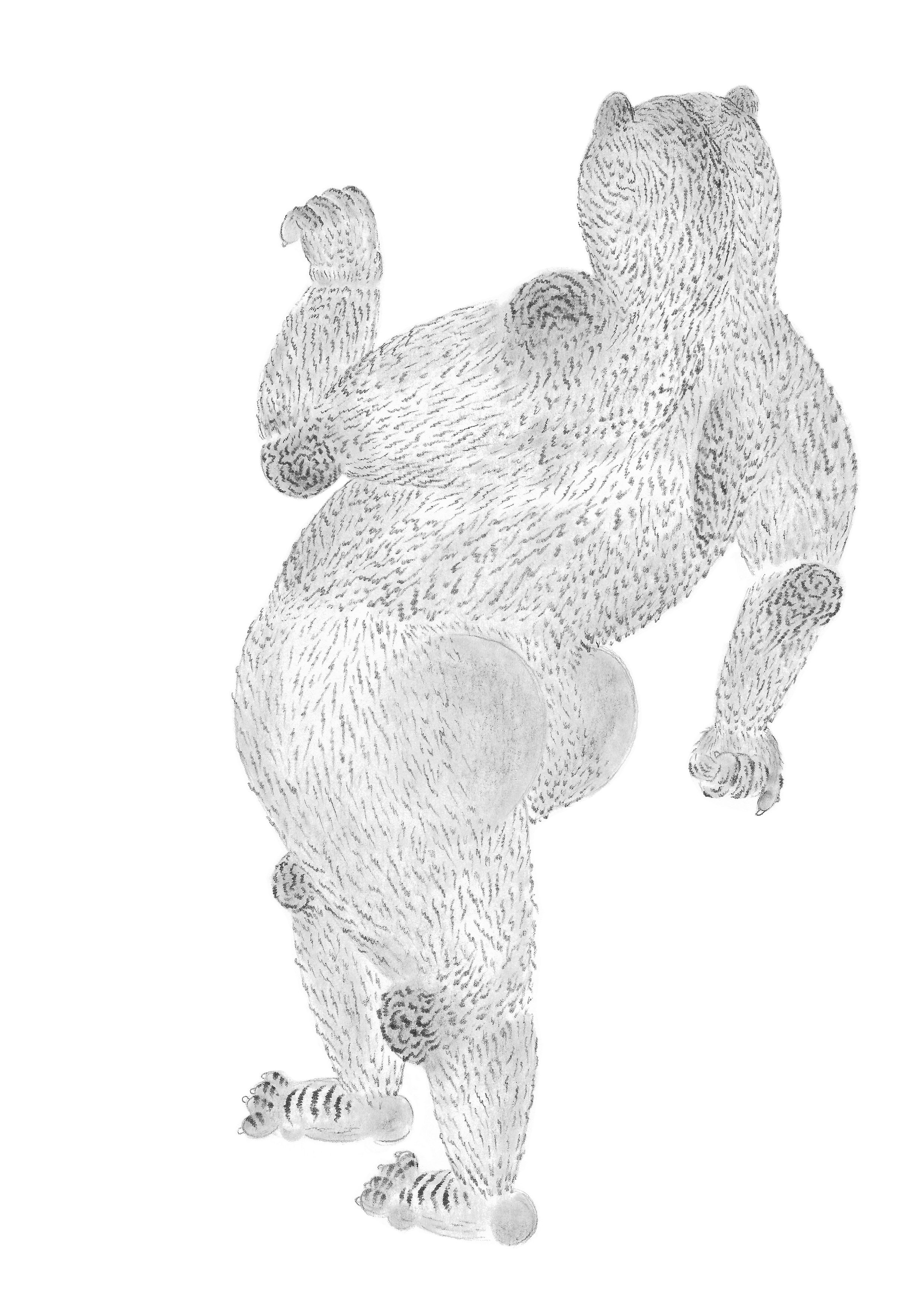 Série Gom (Ours): Danse - Kyoung-Mi KIM