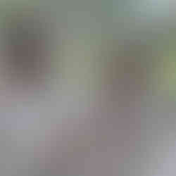 installation céramique immersive