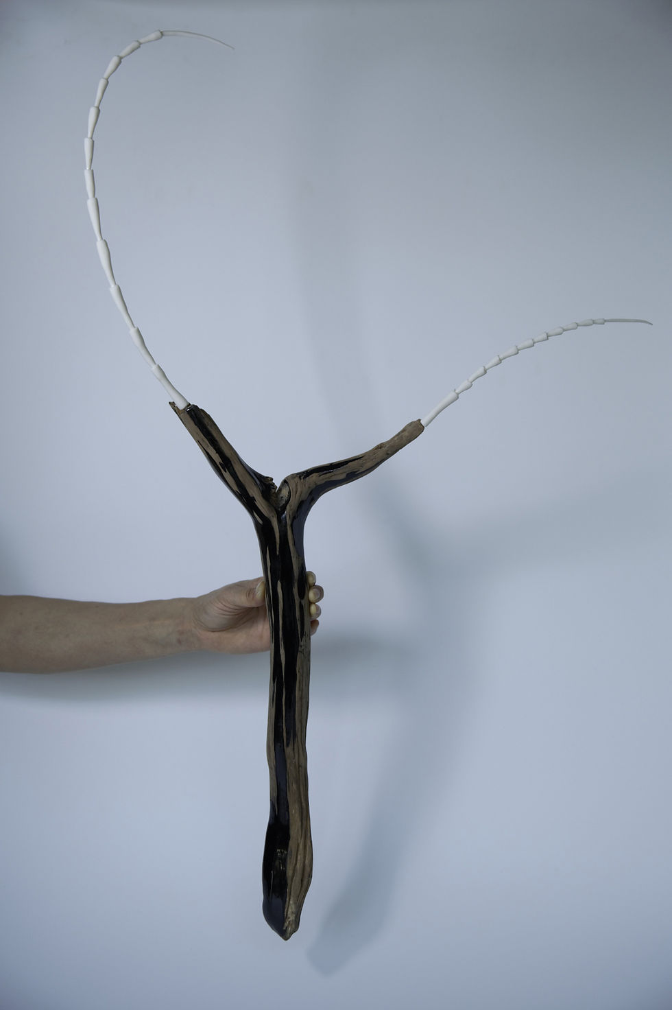 Paysages xylophages — N° 2 de XiaoWei Yuan