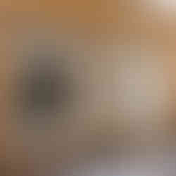 Exposition duo "Rêver la nuit"- Jing WANG