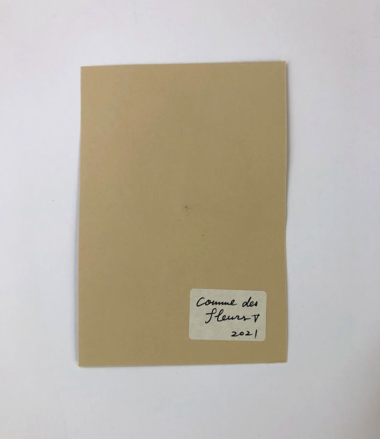 Miniature : Comme des fleurs V - MATSUDA Eriko