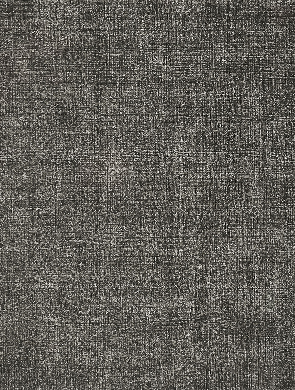 Miniature : Une rencontre où règnent la sérénité et l'harmonie. (相遇相安) - SongLin JI