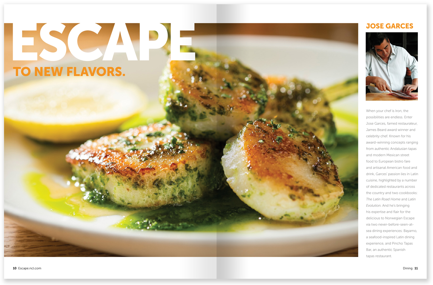 Trade Brochure 04.png