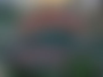 Nova lei do ‘antiterrorismo’ leva lógica militar para a política, alerta pesquisadora