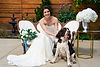 DSC01865-Edit-1.jpg