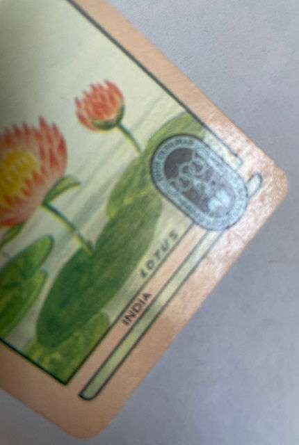 Thumbnail: COLES Blank Back Swap Card SINGLE: India Flag, 1956 Melbourne Olympic Games