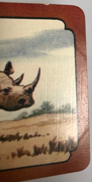 Thumbnail: COLES Swap Card Rhinoceros