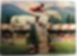DressageĀ Steeplechase Jumping Horses Equestrian Race & Jockey Swap Card