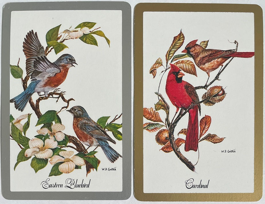 Birds Eastern Bluebird & Red Carnival | Flowers | Artist Painting Swap Cards SINGLE in Pair Artist W. D. Gaither