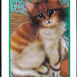 Cats Swap Playing Cards