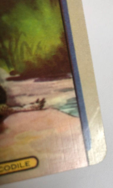 Thumbnail: COLES Swap Card Crocodile