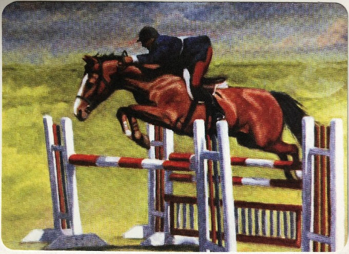 Dressage Steeplechase Jumping Horses Equestrian Race & Jockey Swap Card