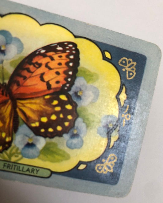 Thumbnail: COLES Swap Card Regal Fritillary Butterfly