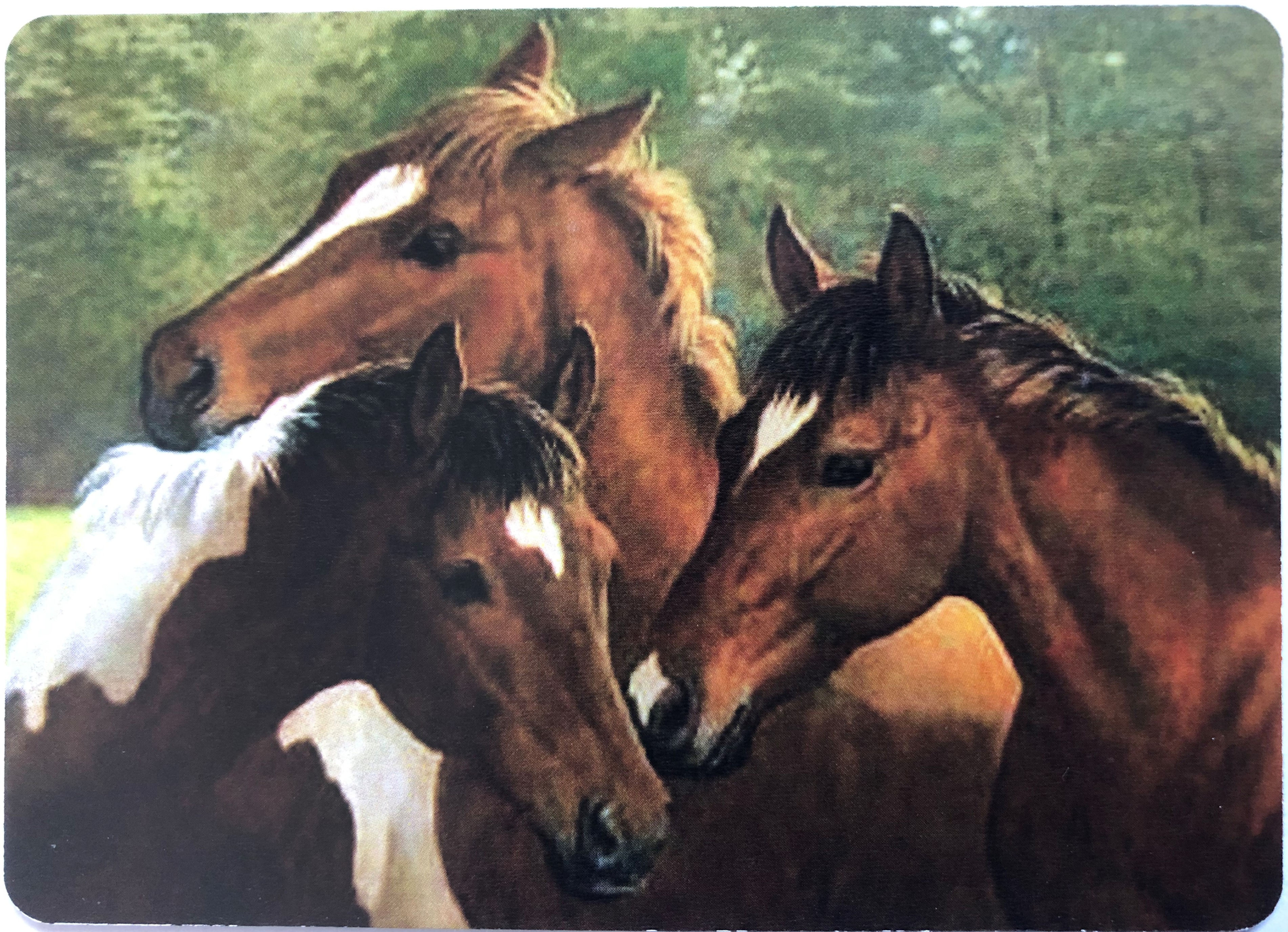 Horse #165 Swap Cards SINGLE