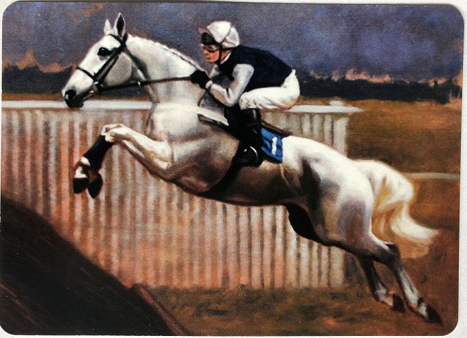 Dressage Steeplechase Jumping Horses Equestrian Race & Jockey Swap Card