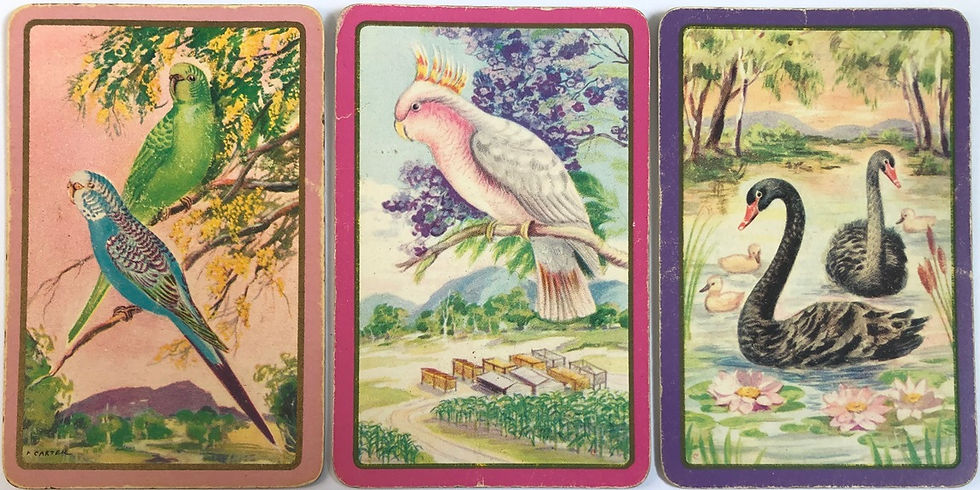 Australia Birds Cockatoo Budgie Swans Swap Cards Set