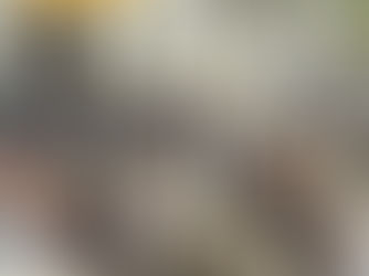 VC Intermezzo deelnemers aan de 50e editie Omloop van Menheerse