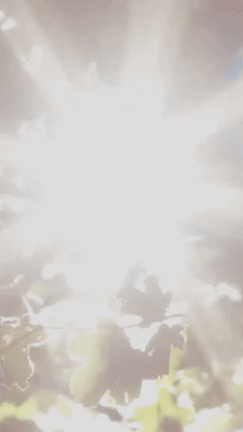 Ash.gif