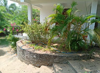 terrace2.jpg