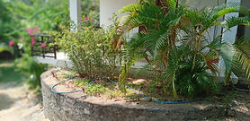 terrace2.jpg