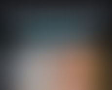 LOSING PRIVACY TO FLOCK CAMERAS OR AUTOMATED LICENSE PLATE READERS