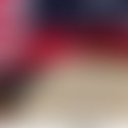 SECOND AMENDMENT, GUNS, AND FELON IN POSSESSION OF A FIREARM AND PARDONS