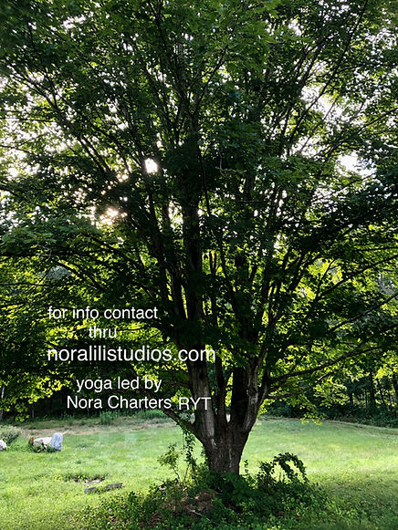 image1 (2).jpeg