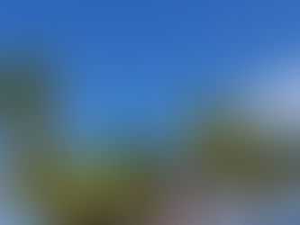 What Happened in Playa del Carmen Mexico