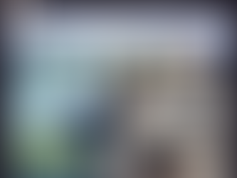 Meet the Author: Maria Bouroncle