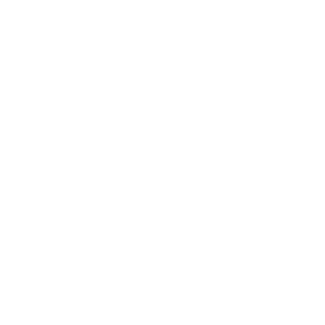 Animation_02.gif