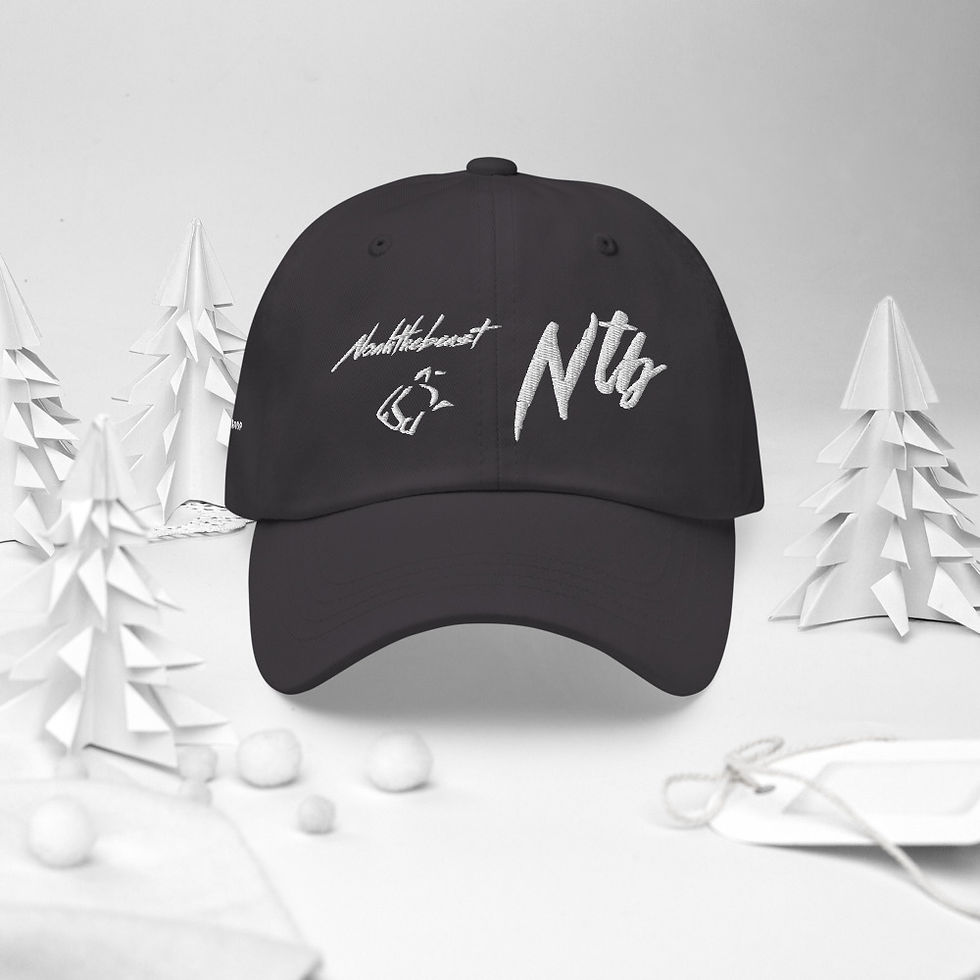 Thumbnail: Four Sided Dad Hat 