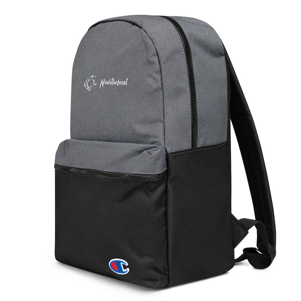 Thumbnail: Champion backpack