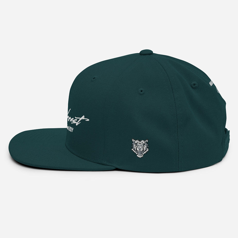 Thumbnail: Snapback Hat