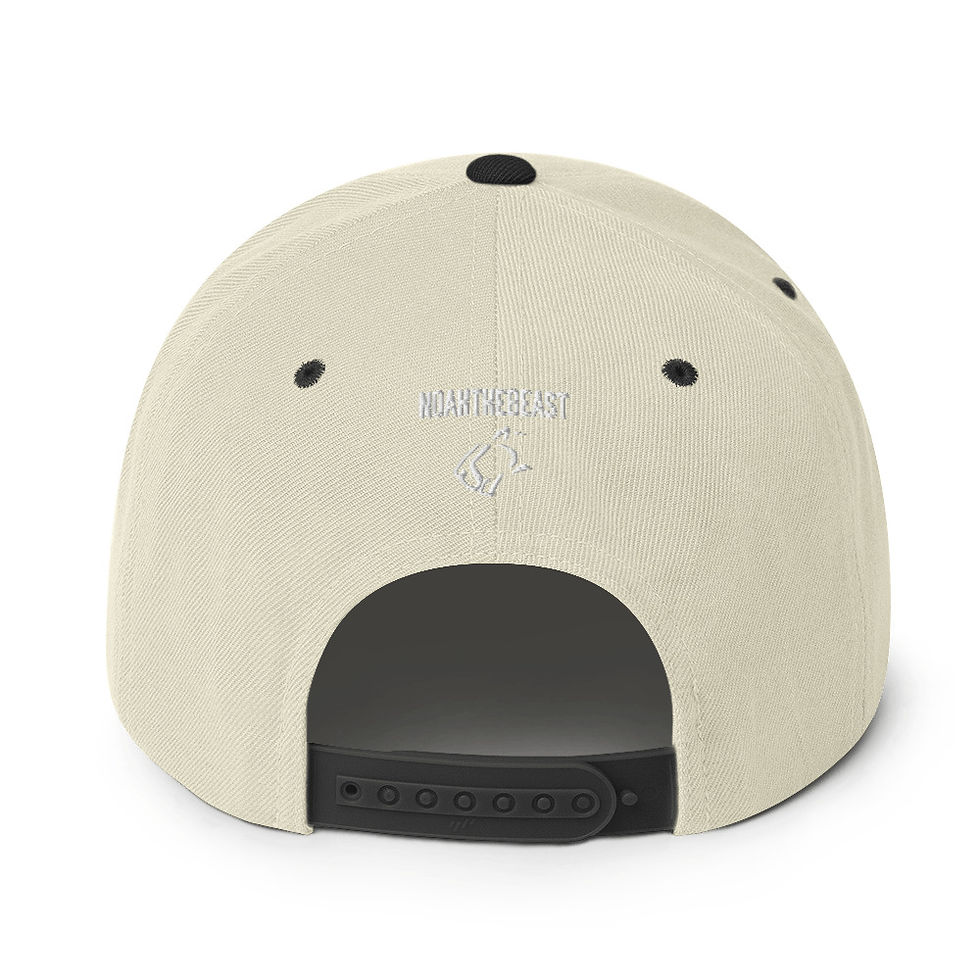 Thumbnail: Snapback Hat