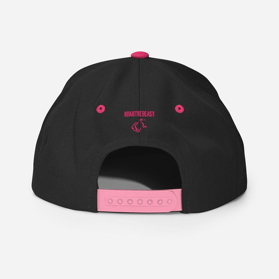 Thumbnail: Snapback Hat