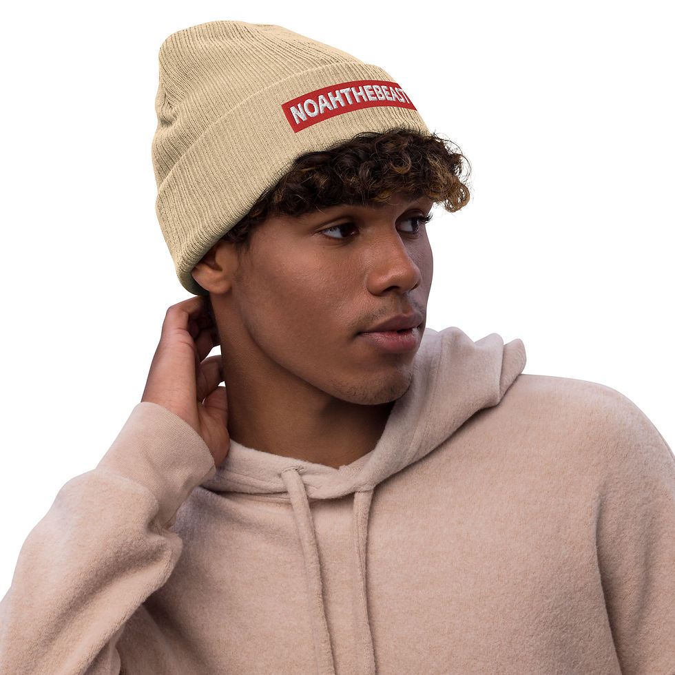 Thumbnail: Ribbed knit beanie