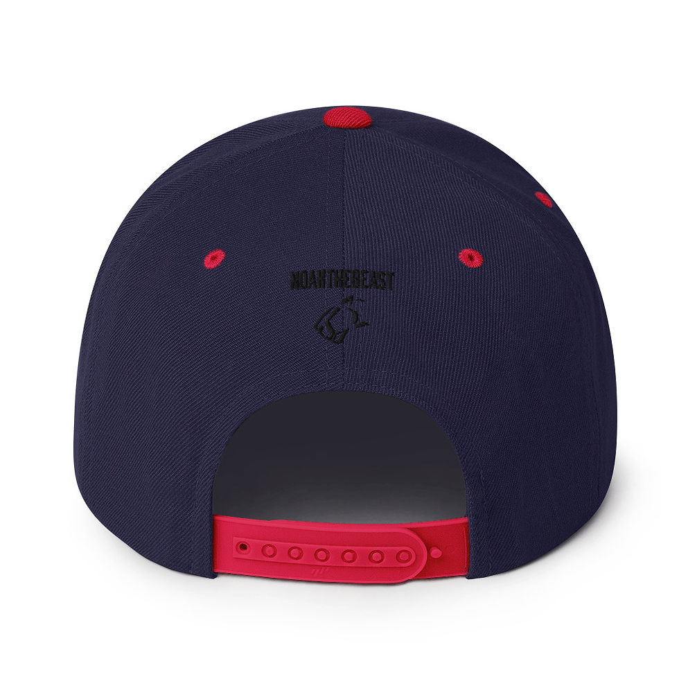 Thumbnail: Snapback Hat