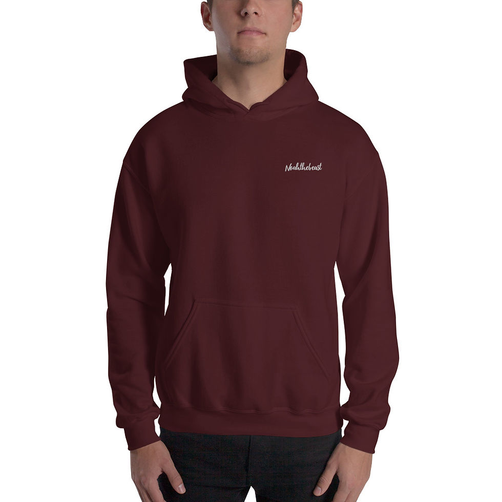 Thumbnail: Noahthebeast Hoodie